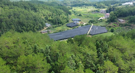 鐘鴻輝綠色家庭 讓大地披綠，讓綠色生活融入日常